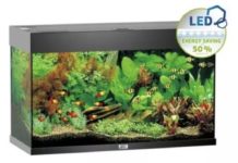 achat aquarium