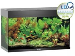 achat aquarium