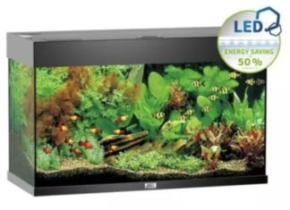 achat aquarium