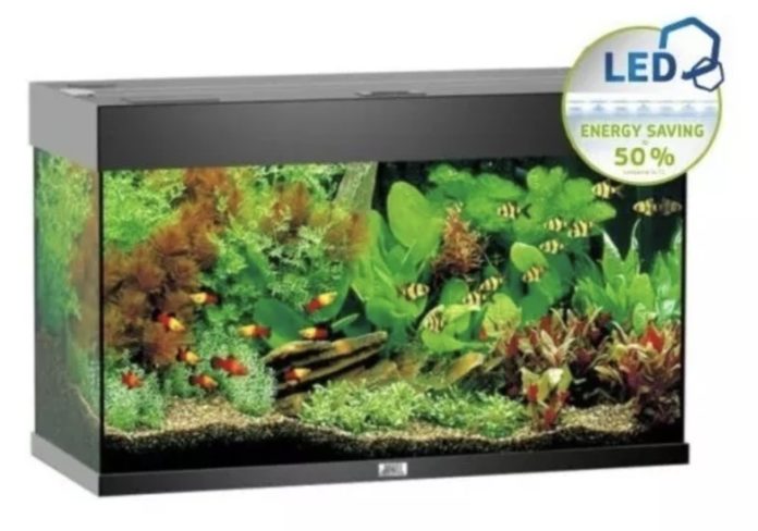 achat aquarium