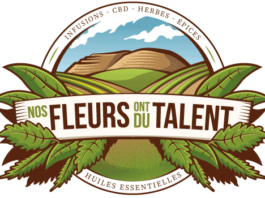 Le CBD est-il légal au Royaume-Uni et en Europe ? Nos fleurs ont du talent